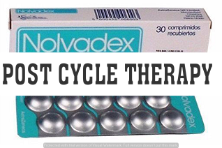 buy post cycle therapy steroids